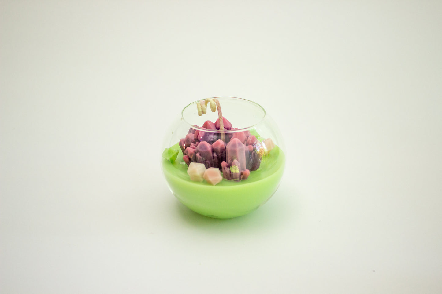 Terrarium