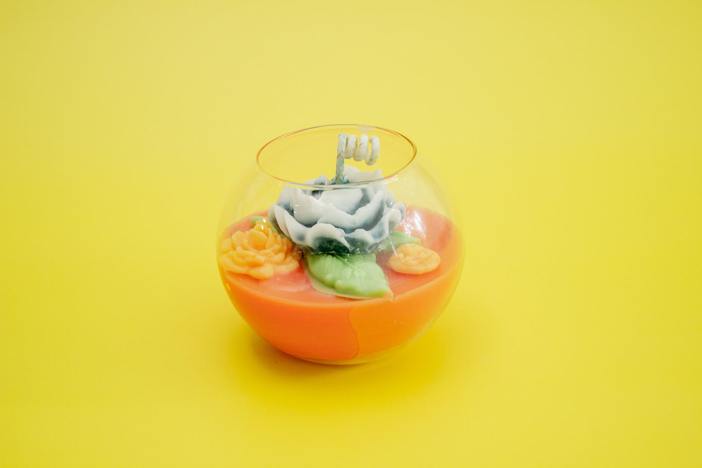 Terrarium