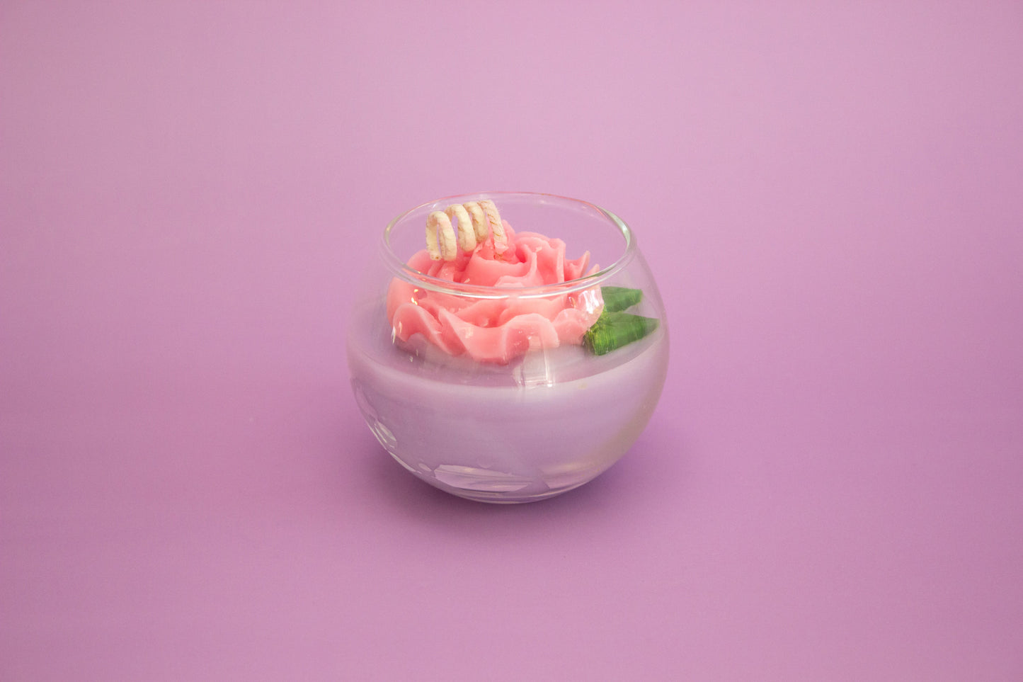 Mini Terrarium