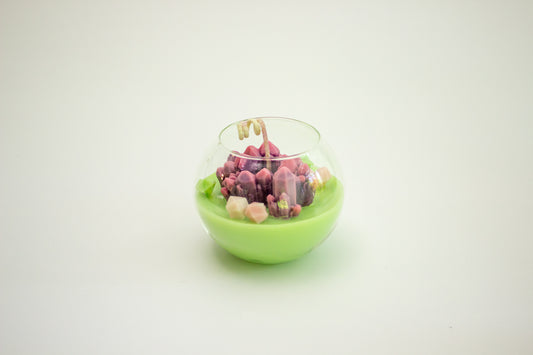 Terrarium