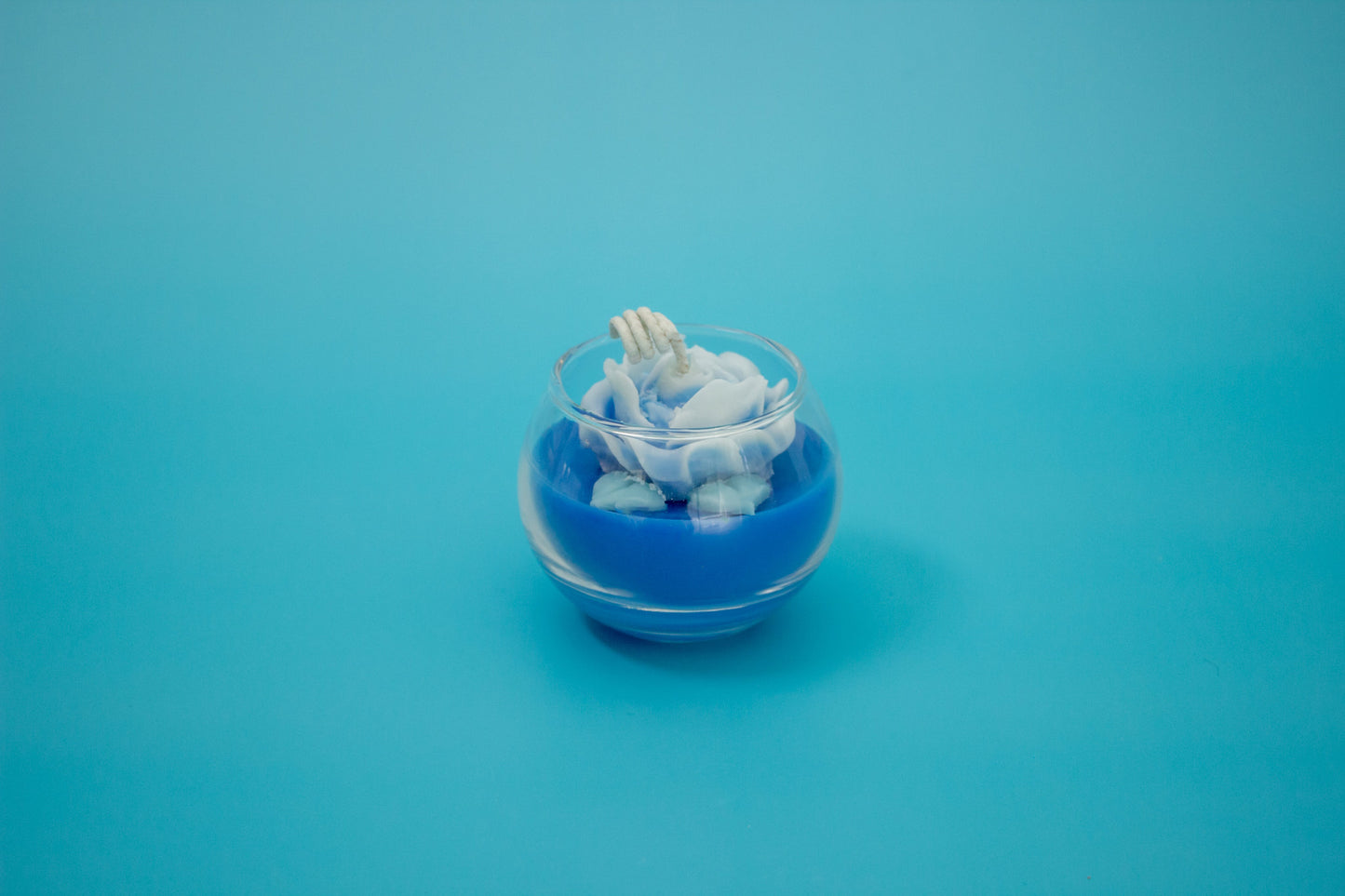 Mini Terrarium