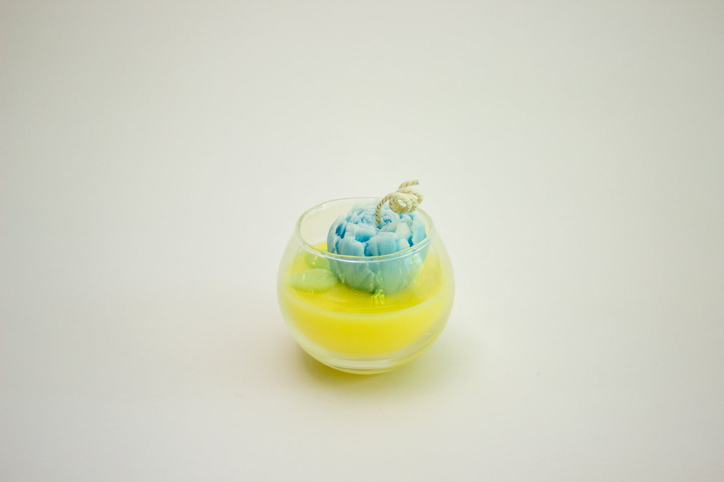 Mini Terrarium