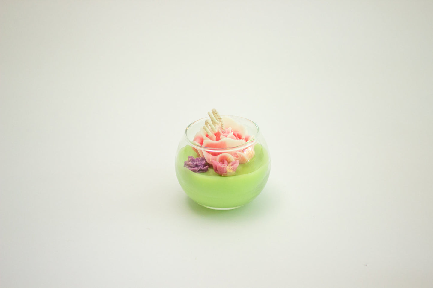Mini Terrarium